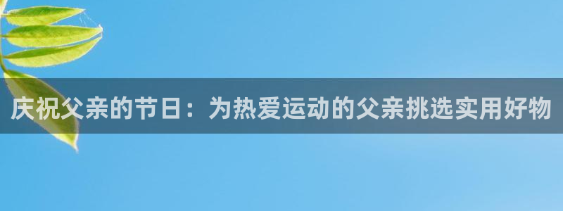 好博体育官方正版app集团logo：庆祝父亲的节日：为热爱运