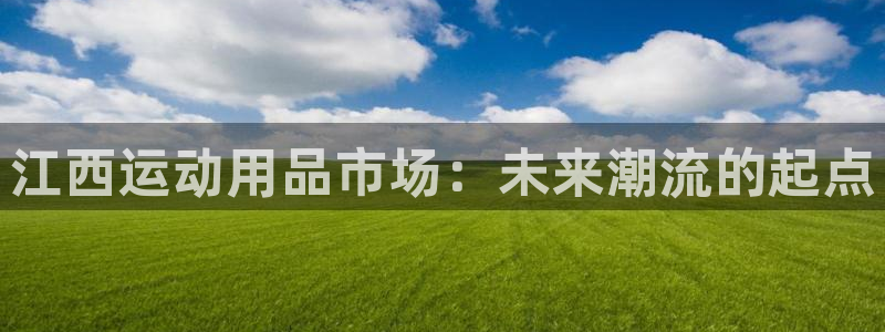 好博体育官方正版app新能源：江西运动用品市场：未来潮流的起