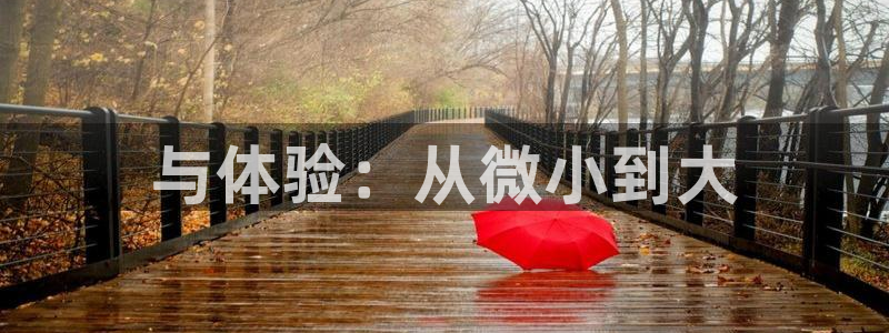 好博体育官方正版app集团官网网址：与体验：从微小到大