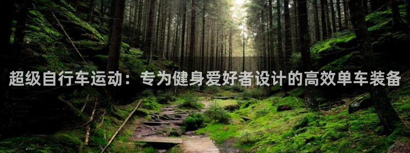 好博体育官方正版app官方：超级自行车运动：专为健身爱好者设