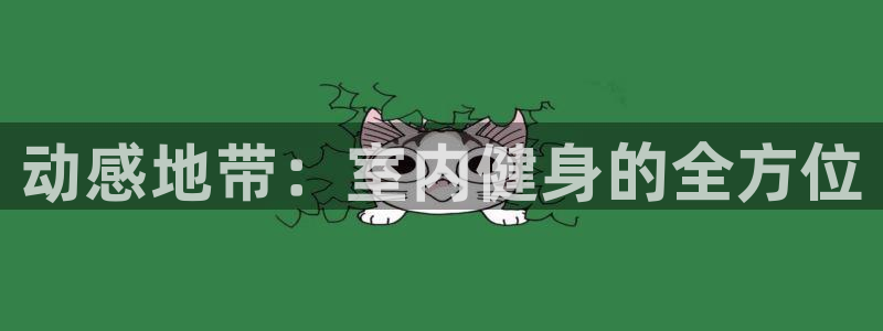 好博体育官方正版app娱乐是那个系列的台子：动感地带：室内健