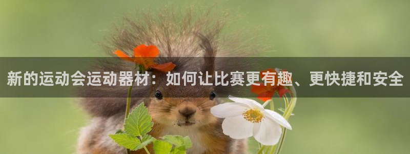 好博体育官方正版app娱乐首页网站大全：新的运动会运动器材：