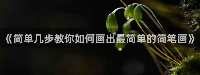 好博体育官网下载招商电话地址是多少