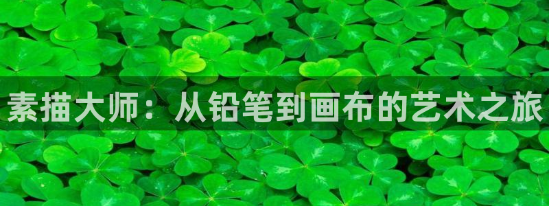 好博体育官网下载招商电话