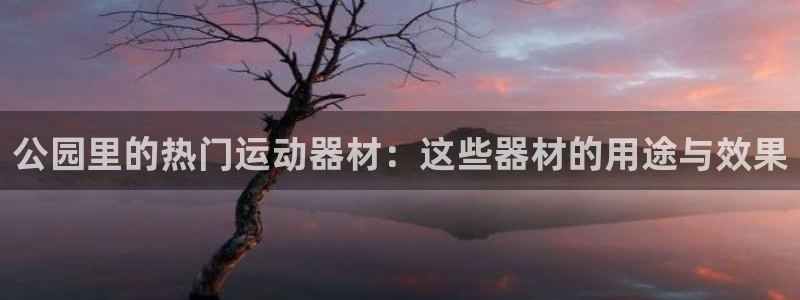 好博体育官网下载软件：公园里的热门运动器材：这些器材
