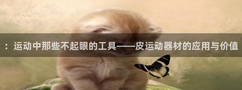 好博体育官方正版app集团logo