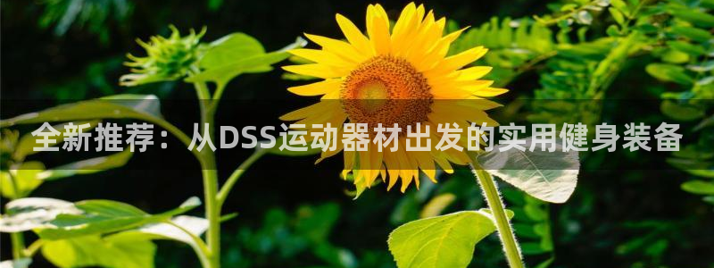 好博体育官方正版app娱乐是那个系列的台子：全新推荐：从DS